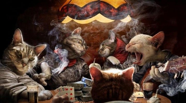 4 Consejos de póker para jugar en el turn